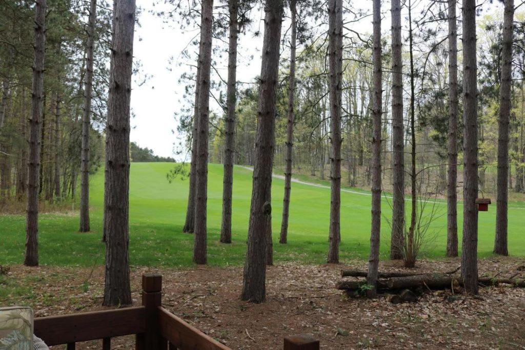 Crystal Mountain Cabin-Shuttle Pass Included! Thompsonville Ngoại thất bức ảnh
